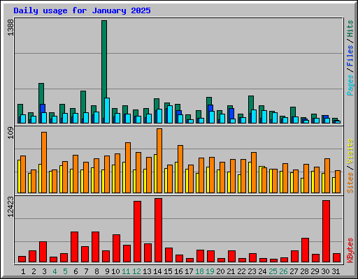 Daily usage for January 2025