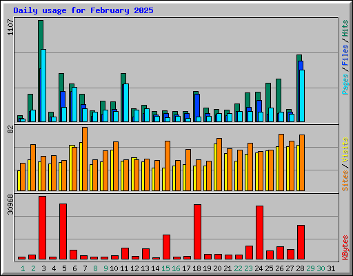 Daily usage for February 2025