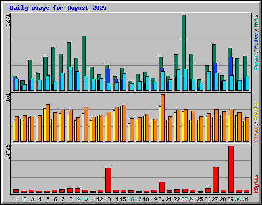 Daily usage for August 2025