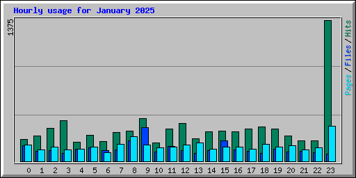 Hourly usage for January 2025