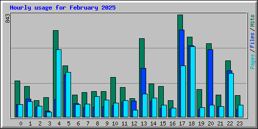 Hourly usage for February 2025