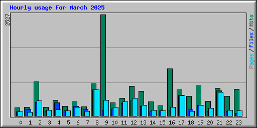 Hourly usage for March 2025