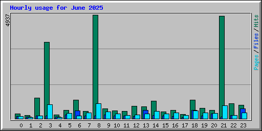 Hourly usage for June 2025