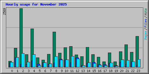 Hourly usage for November 2025
