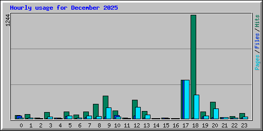Hourly usage for December 2025